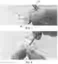 Fig. 04 - METHOD FOR IDENTIFYING EMBEDDED SAMPLES FOR MICROSCOPY