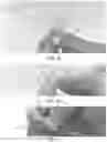 Fig. 05 - METHOD FOR IDENTIFYING EMBEDDED SAMPLES FOR MICROSCOPY