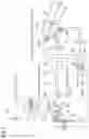 Fig. 02 - Projection-type image display apparatus displaying image using two refelective display elements