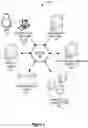 Fig. 02 - Generative adversarial network training and feature extraction for biometric authentication