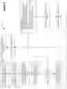Fig. 07 - Generative adversarial network training and feature extraction for biometric authentication