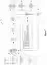 Fig. 08 - Generative adversarial network training and feature extraction for biometric authentication