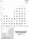 Fig. 09 - Deep learning method for predicting patient response to a therapy