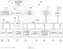 Fig. 05 - Automatic summarization of medical imaging studies