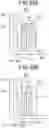Fig. 46 - Rotating electric machine, electric power conversion device and method of manufacturing rotating electric machine