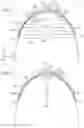Fig. 02 - Negative pressure wound closure devices and methods