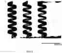 Fig. 07 - Method for fabricating microfluidic devices in fused silica by picosecond laser irradiation