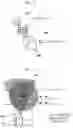 Fig. 10 - Image projection apparatus