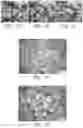 Fig. 04 - Granules
