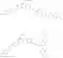 Fig. 210 - Cystobactamide derivatives