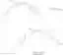Fig. 236 - Cystobactamide derivatives