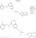 Fig. 165 - Ferroportin inhibitors and methods of use