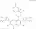 Fig. 09 - Somatostatin modulators and uses thereof
