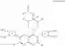 Fig. 11 - Somatostatin modulators and uses thereof