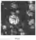Fig. 06 - Flame retardant, method of manufacturing the same, resin composition of matter, and method of manufacturing the same