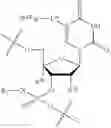 Fig. 167 - Oligonucleotide compositions and methods of use thereof