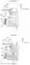 Fig. 19 - VEHICLE DOOR DEVICE