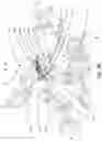 Fig. 04 - Variable rotary mass vibration suppression system