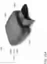 Fig. 24 - OPTICAL IMAGING AND/OR MEASURING APPARATUS