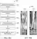 Fig. 22 - Interactive virtual reality manipulation of downhole data