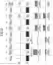 Fig. 19 - Detection apparatus