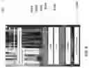 Fig. 06 - Methods, systems, and apparatus, for receiving persistent responses to online surveys