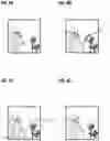 Fig. 05 - Portable terminal having touch screen and method for processing image therein