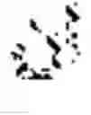 Fig. 366 - Methods, computer readable media, and systems for machine translation between Arabic and Arabic sign language