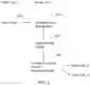 Fig. 03 - Apparatus and method for automated privacy protection in distributed images