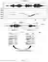 Fig. 05 - Call center agent performance scoring and sentiment analytics