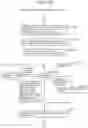 Fig. 167 - Information communication method