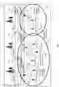 Fig. 08 - Base station grouping for topology hiding