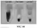 Fig. 03 - Nanoparticle, preparation process and uses thereof