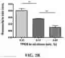 Fig. 07 - Nanoparticle, preparation process and uses thereof