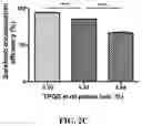 Fig. 08 - Nanoparticle, preparation process and uses thereof