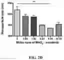 Fig. 09 - Nanoparticle, preparation process and uses thereof