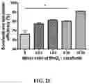 Fig. 11 - Nanoparticle, preparation process and uses thereof