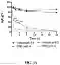 Fig. 13 - Nanoparticle, preparation process and uses thereof
