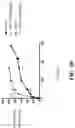 Fig. 14 - Nanoparticle, preparation process and uses thereof