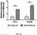 Fig. 16 - Nanoparticle, preparation process and uses thereof
