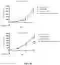 Fig. 19 - Nanoparticle, preparation process and uses thereof