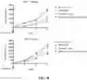 Fig. 20 - Nanoparticle, preparation process and uses thereof