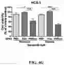 Fig. 21 - Nanoparticle, preparation process and uses thereof