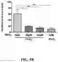 Fig. 24 - Nanoparticle, preparation process and uses thereof
