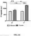 Fig. 28 - Nanoparticle, preparation process and uses thereof