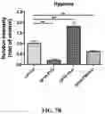 Fig. 30 - Nanoparticle, preparation process and uses thereof