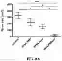 Fig. 32 - Nanoparticle, preparation process and uses thereof