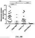 Fig. 33 - Nanoparticle, preparation process and uses thereof
