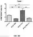 Fig. 35 - Nanoparticle, preparation process and uses thereof