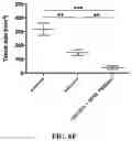 Fig. 37 - Nanoparticle, preparation process and uses thereof
